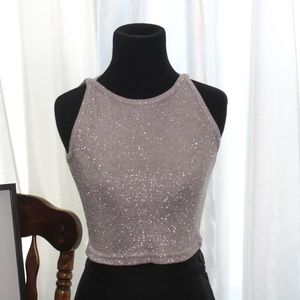 Silver Crop Top